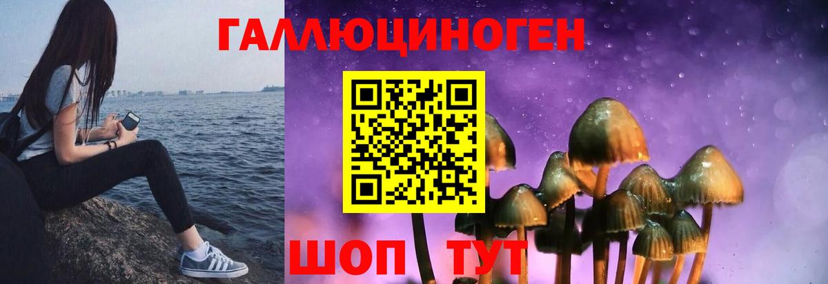 Галлюциногенные грибы прущие грибы  Вход с VPN  Назарово  сколько стоит  Галлюциногенные грибы Psilocybe 