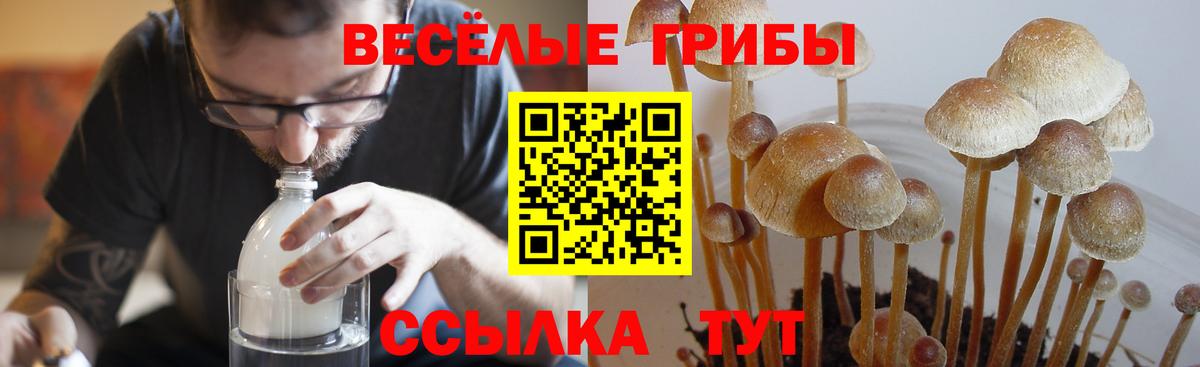 Галлюциногенные грибы мухоморы Назарово
